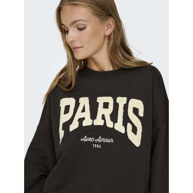 Jacqueline de Yong mesa l/s o-neck emb sweat jrs no 15370526 ganache paris 06721.840.0012 large