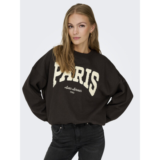 Jacqueline de Yong mesa l/s o-neck emb sweat jrs no 15370526 ganache paris 06721.840.0012 large