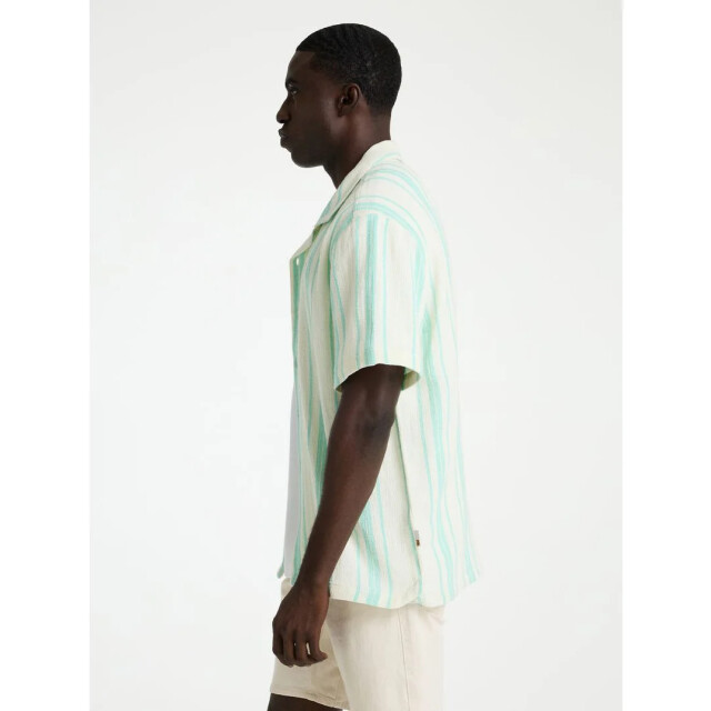 Chasin' Doby stripe blue 62120011-E6021 large