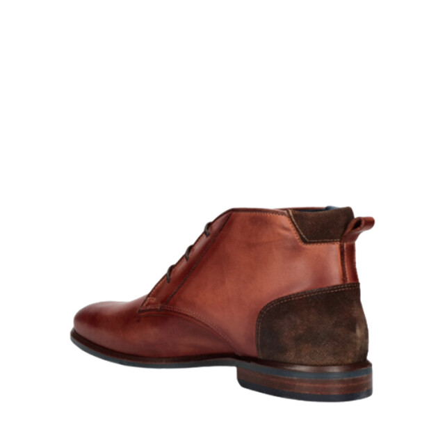 Berkelmans Alastarora 2320006802 019796 large