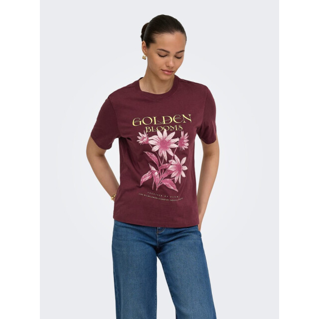 Only Onllucy monja ss top jrs noos bordeaux 4339.47.0014 large