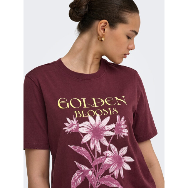 Only Onllucy monja ss top jrs noos bordeaux 4339.47.0014 large