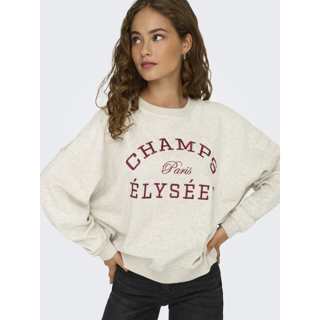 Jacqueline de Yong mesa l/s o-neck emb sweat jrs no 15370526 oatmeal champs cabarnet 06721.940.0035 large