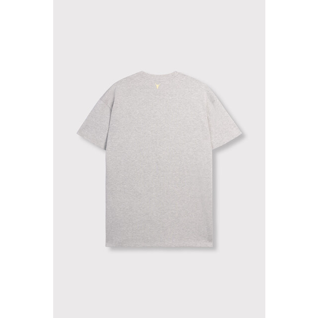 Alix The Label The label t-shirt dress melee 4409.87.0006 large