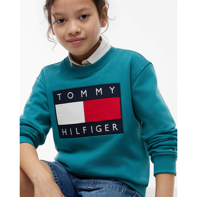 Tommy Hilfiger Sweat ks0ks00709 Tommy Hilfiger Sweat KS0KS00709 large