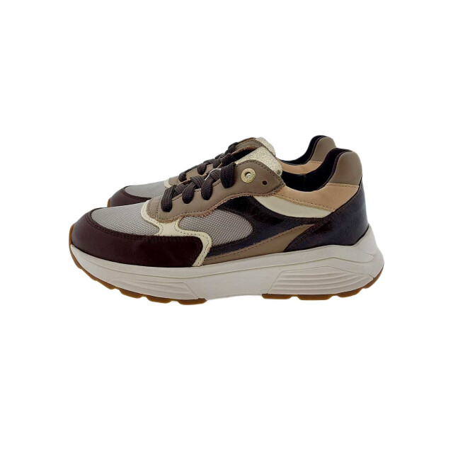 Xsensible 33002.5 Sneakers Bruin 33002.5 large