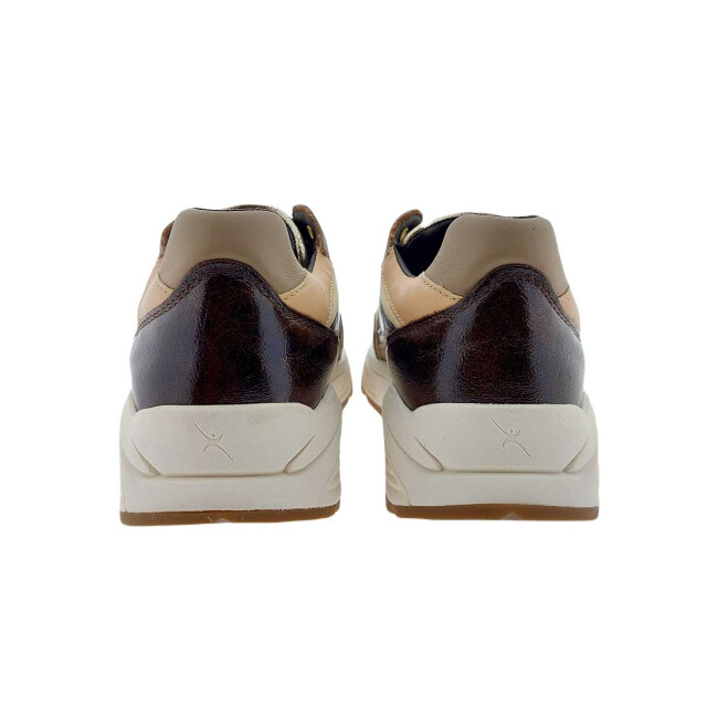 Xsensible 33002.5 Sneakers Bruin 33002.5 large