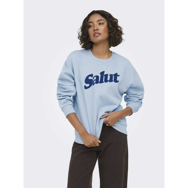 Only onlzalenta boxy l/s box cs swt 15382701 dusty 06721.211.0010 large