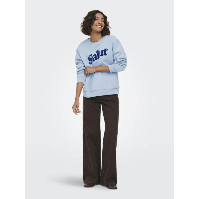 Only onlzalenta boxy l/s box cs swt 15382701 dusty 06721.211.0010 large