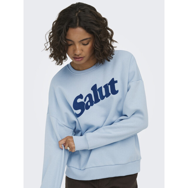 Only onlzalenta boxy l/s box cs swt 15382701 dusty 06721.211.0010 large