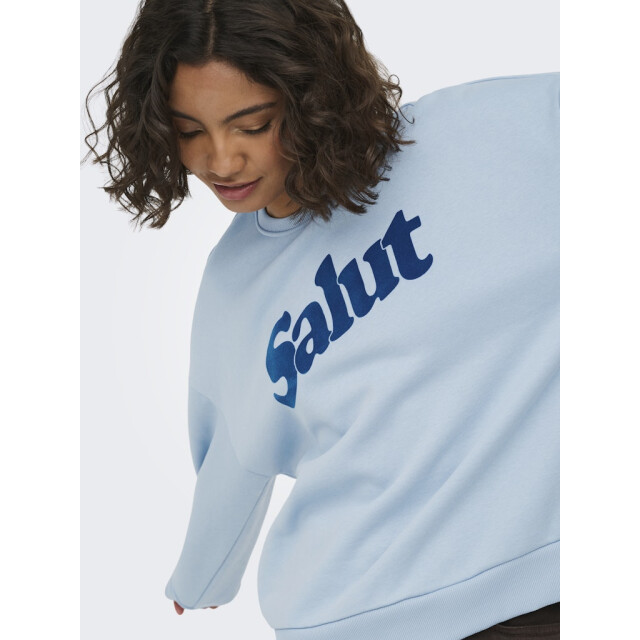 Only onlzalenta boxy l/s box cs swt 15382701 dusty 06721.211.0010 large