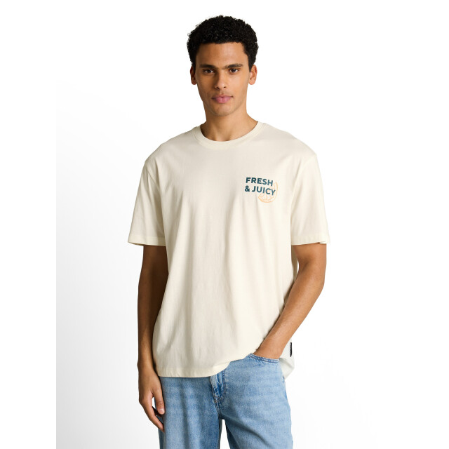 Tom Tailor Relaxed printed t-shirt 1051555 large