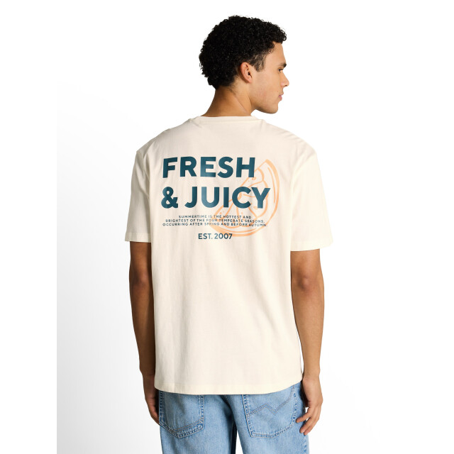 Tom Tailor Relaxed printed t-shirt 1051555 large