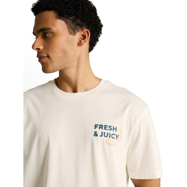 Tom Tailor Relaxed printed t-shirt 1051555 large
