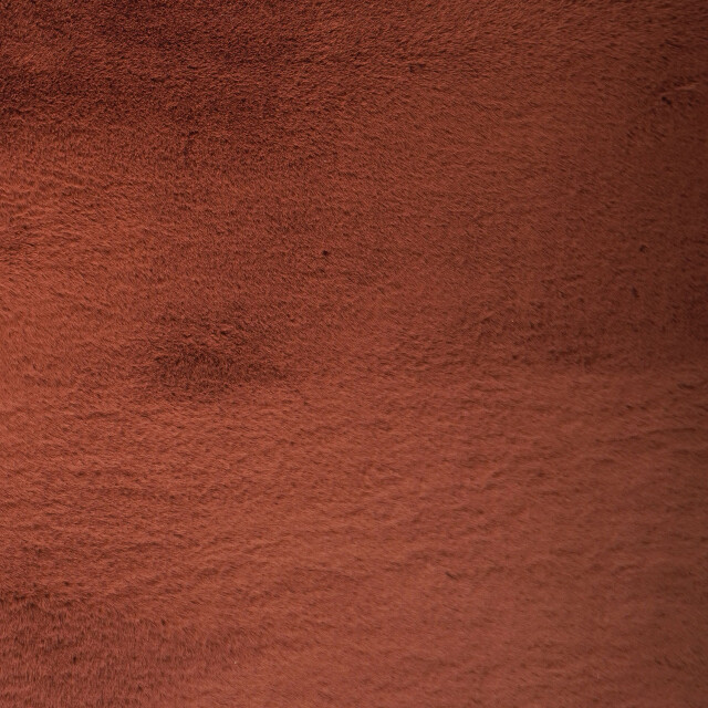 Veer Carpets Vloerkleed velluto 230 x 330 cm 3662633 large