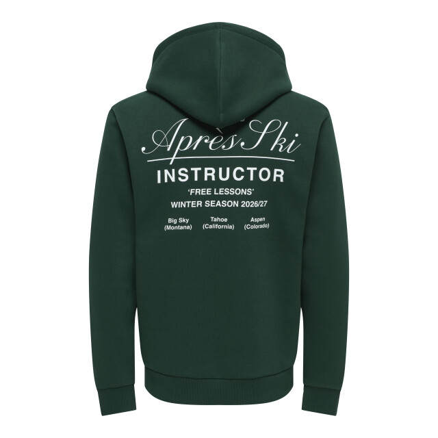 Only & Sons onsceres hood sweat print cam vd 22039604 pine grove 05734.369.0053 large