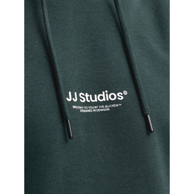 Jack & Jones jjesoho sweat hood noos 12278789 scarab 05734.840.0014 large