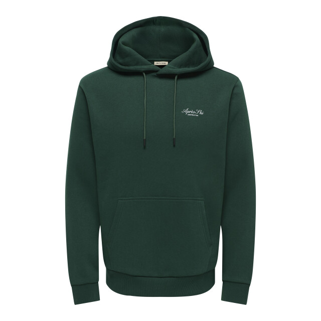 Only & Sons onsceres hood sweat print cam vd 22039604 pine grove 05734.369.0053 large