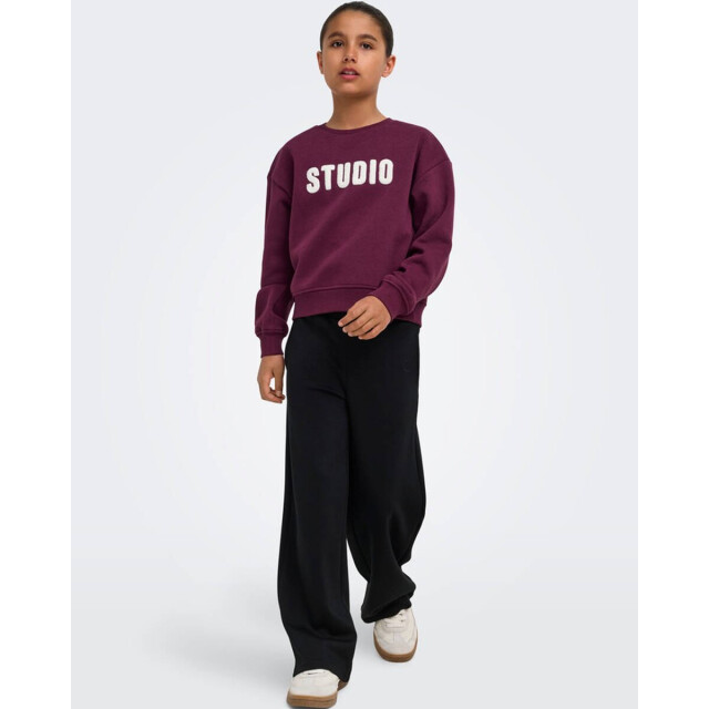 Only Sweat 15353354 kogsweat Kids Only Sweat 15353354 KOGSWEAT large