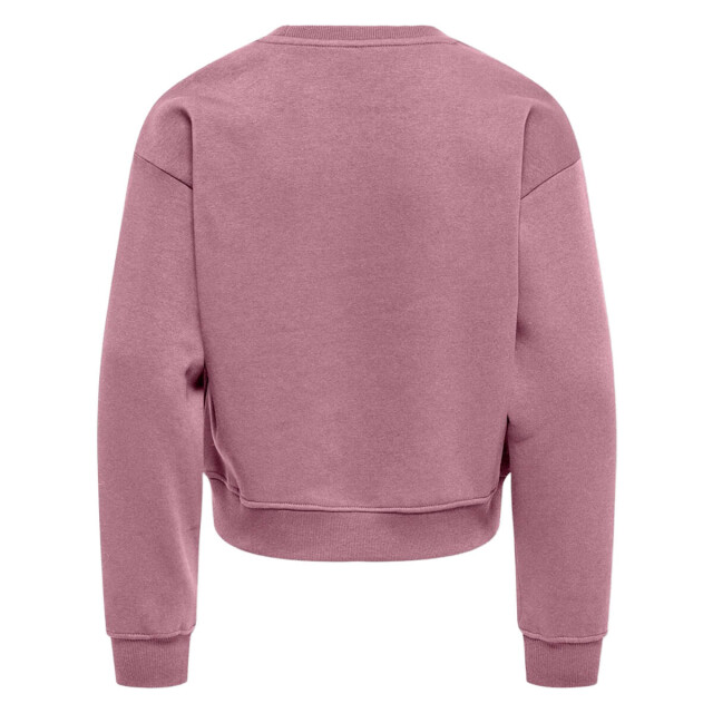 Only Sweat 15353354 kogsweat Kids Only Sweat 15353354 KOGSWEAT large