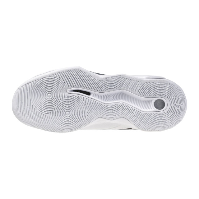 Mizuno wave momentum pro(u) volleybalschoenen heren - 075571_109-10 large