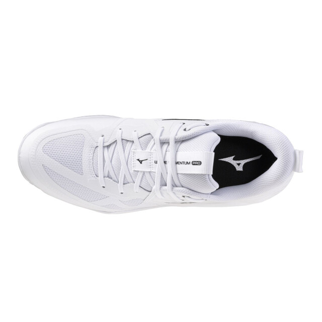 Mizuno wave momentum pro(u) volleybalschoenen heren - 075571_109-10 large