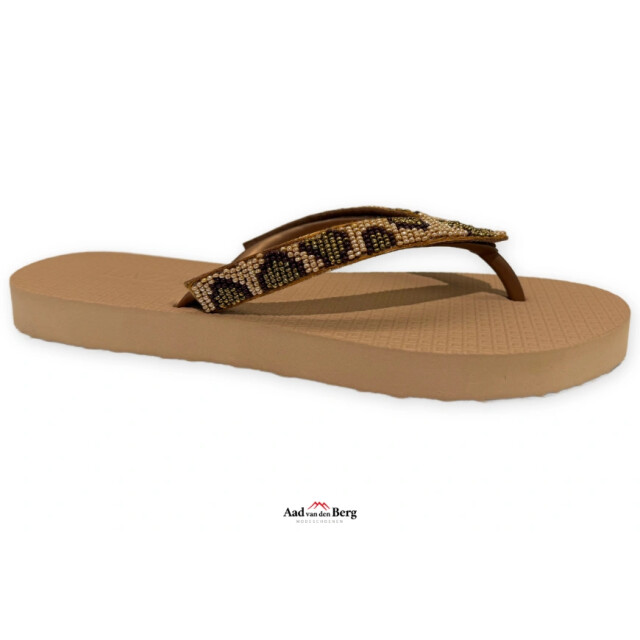Lazamani Damesschoenen slippers LA77009 large