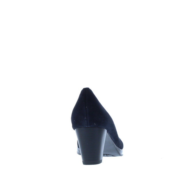 Ara Pump 106891 106891 large