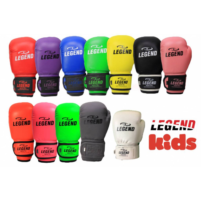 Legend Sports Kinder bokshandschoenen 4-8 jaar 4oz/6oz pu TBG06PR06 large