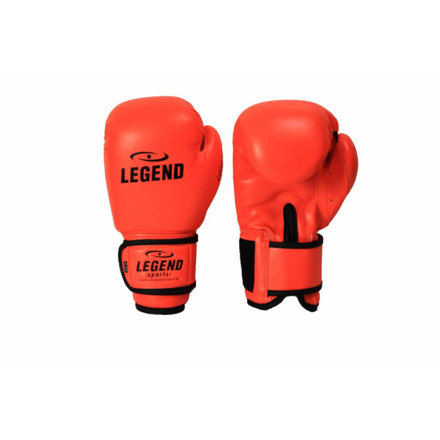 Legend Sports Kinder bokshandschoenen 4-8 jaar neon 4oz/6oz pu TBG06NO04 large