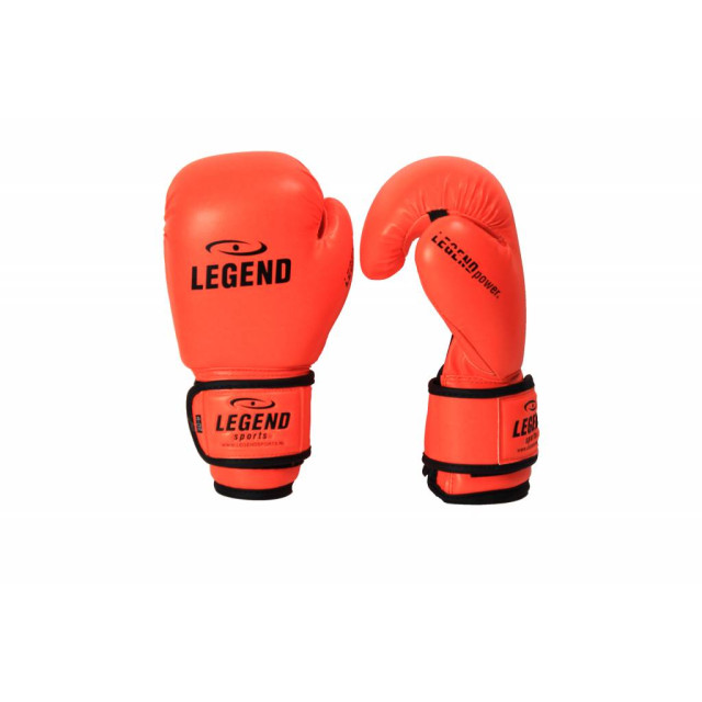 Legend Sports Kinder bokshandschoenen 4-8 jaar neon 4oz/6oz pu TBG06NO04 large