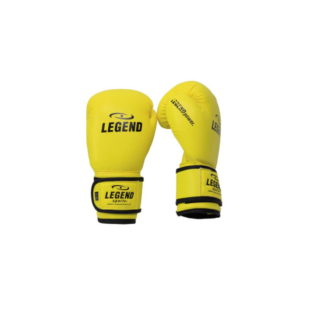 Legend Sports Kinder bokshandschoenen 4-8 jaar neon 4oz/6oz pu TBG06GL04 large