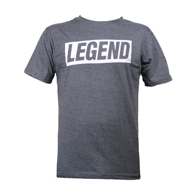 Legend Sports T-shirt inspiration kids/volwassenen polyester/katoen PSW31QUGREYM large