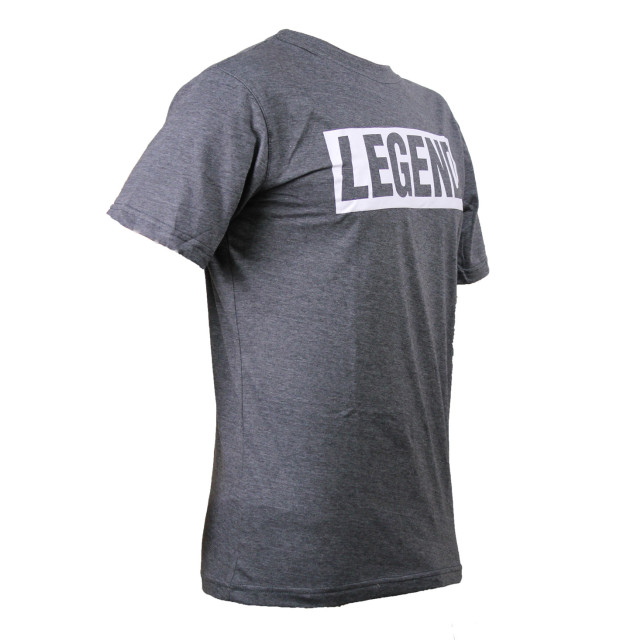 Legend Sports T-shirt inspiration kids/volwassenen polyester/katoen PSW31QUGREYM large