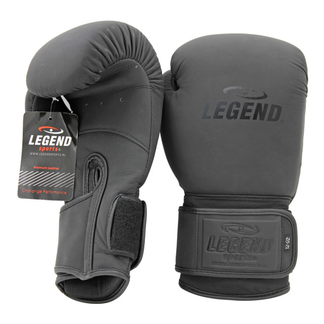 Legend Sports Bokshandschoenen legend power heren/dames mat leer PBG04MZW08 large