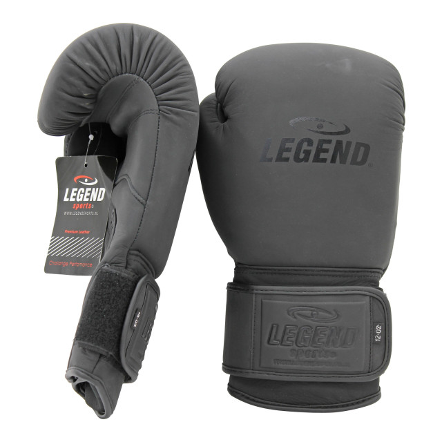 Legend Sports Bokshandschoenen legend power heren/dames mat leer PBG04MZW08 large