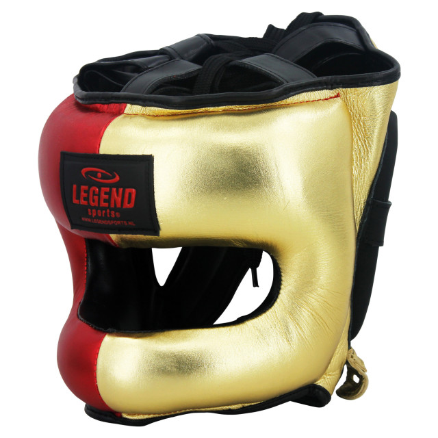 Legend Sports Hoofdbeschermer + neusbeschermer le golden boy PHG01NBGOLDS large