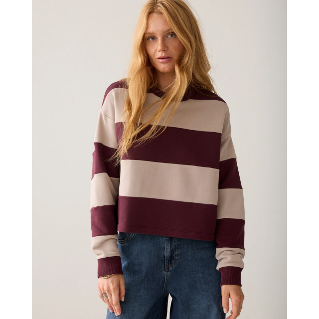 Summum 3s5336-30805 335 big stripe boxy sweatshirt dark burgundy 3s5336-30805 335 large