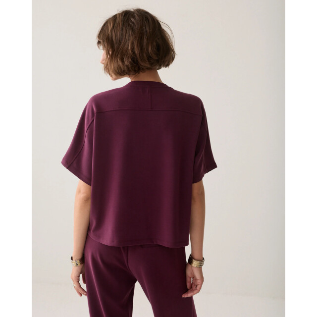 Summum 3s5335-30606 335 boxy top soft scuba dark burgundy 3s5335-30606 335 large