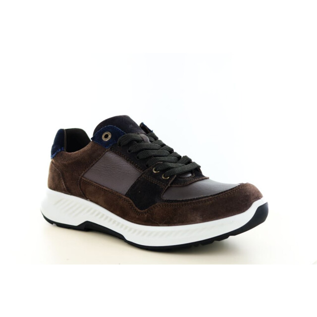 Xsensible 131.31.339 Sneakers Bruin 131.31.339 large