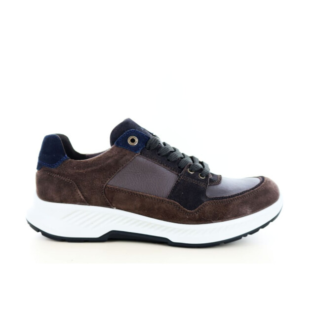 Xsensible 131.31.339 Sneakers Bruin 131.31.339 large