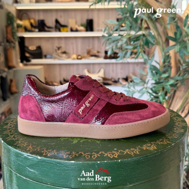 Paul Green 5437 Sneakers Bordeaux 5437 large
