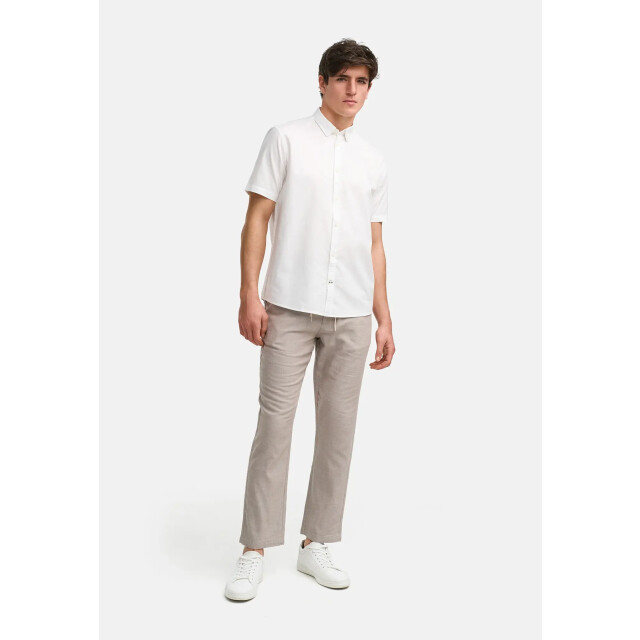 Kronstadt Po30269 ks60007 ksalbert chino fungi KS60007 large