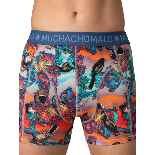 Muchachomalo Heren 2-pack boxershorts U-OUTLT1010-432 large