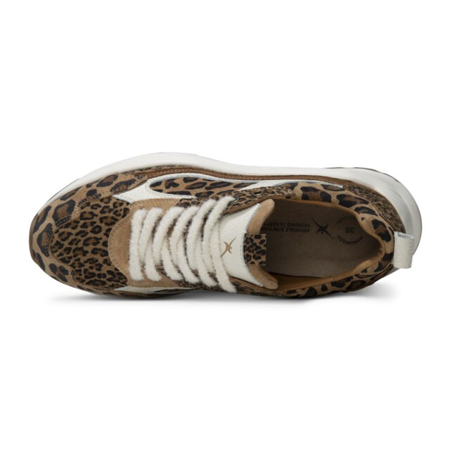 Xsensible 33004.4-Milau Veterschoenen Bruin 33004.4-Milau large