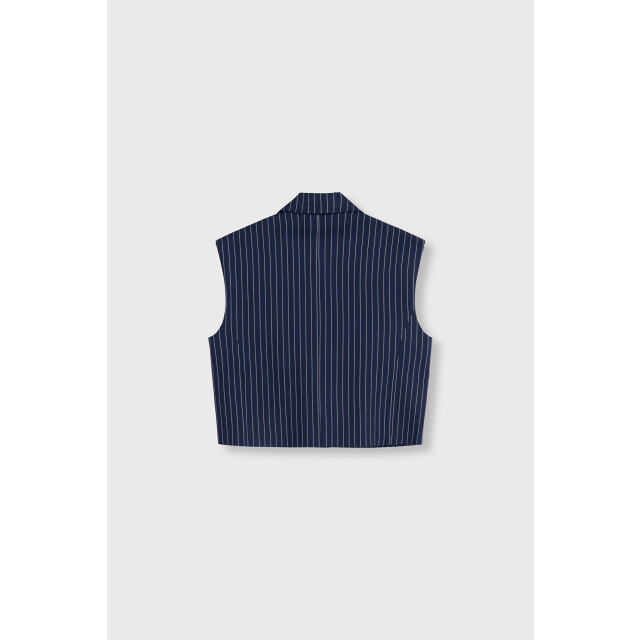 Alix The Label Striped wasted coat dessin 4259.39.0004 large