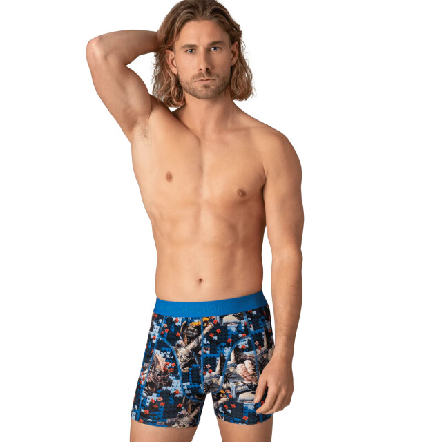 Muchachomalo Heren 10-pack boxershorts U-REMIX1010-26 large