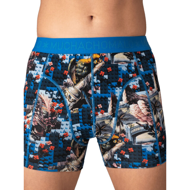 Muchachomalo Heren 10-pack boxershorts U-REMIX1010-26 large