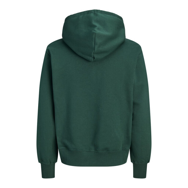 Jack & Jones Jorfrederiksberg monogram sweat hood sn olijf 5219.22.0043 large