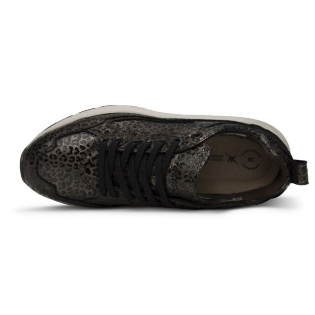 Xsensible 33004.4-Milau Veterschoenen Grijs 33004.4-Milau large